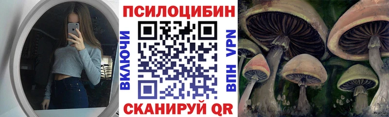 Галлюциногенные грибы Psilocybine cubensis Буинск