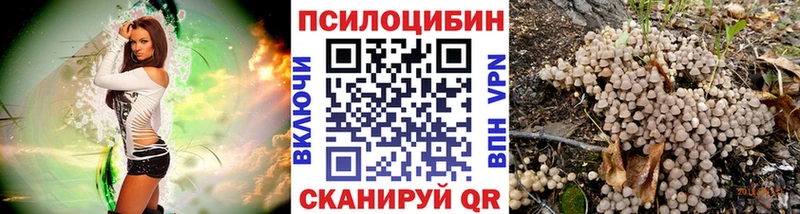 ОМГ ОМГ   Буинск  Галлюциногенные грибы мухоморы 