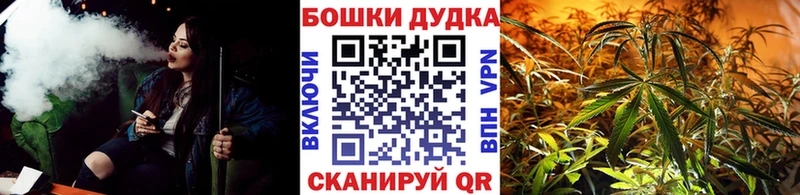 Бошки марихуана сатива  Буинск 